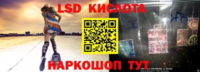 прущие крисы Славгород