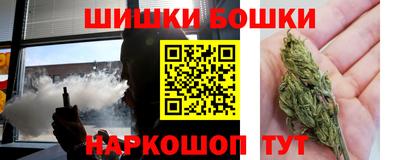 стаф Сланцы