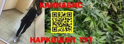 стаф Сланцы