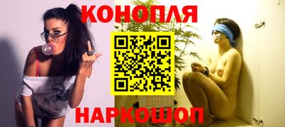 стаф Сланцы