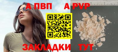 стаф Сланцы