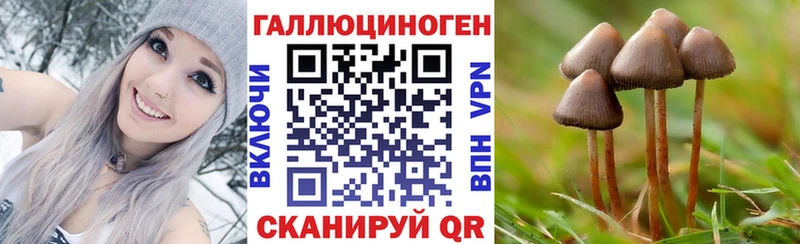 Псилоцибиновые грибы GOLDEN TEACHER  Спасск-Дальний 