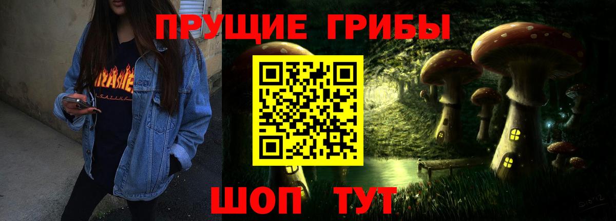 Псилоцибиновые грибы Cubensis  Вход с VPN  Спасск-Дальний 